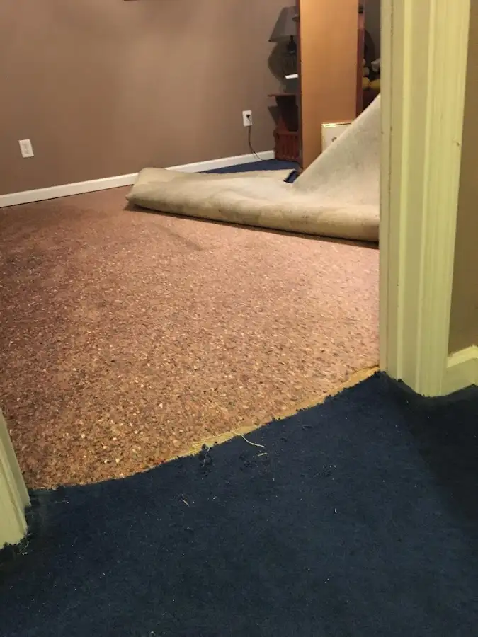Carpet pad removal revealing water damage during Drying & Dehumidification in Orlovista