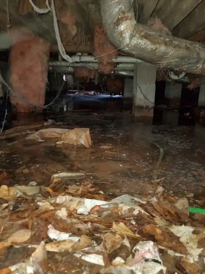 Crawl space flood assessment for Leak Detection & Repair in Orlovista