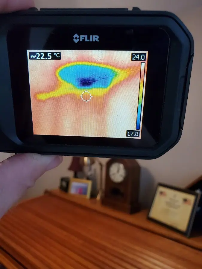Thermal imaging inspection for water damage in Orlovista