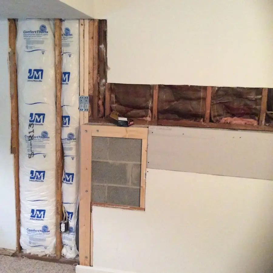 Wall insulation replacement during Odor Removal & Deodorization in Orlovista